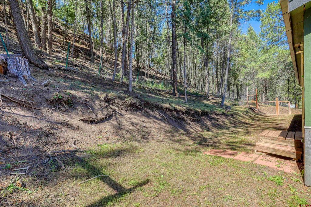956 Beucler Lane Pagosa Springs CO 81147