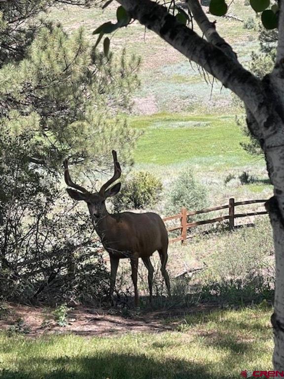 2635 Echo Canyon Ranch Lane Pagosa Springs CO 81147