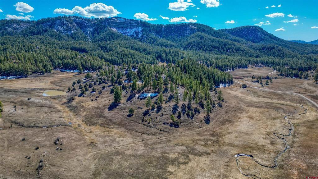 2635 Echo Canyon Ranch Lane Pagosa Springs CO 81147