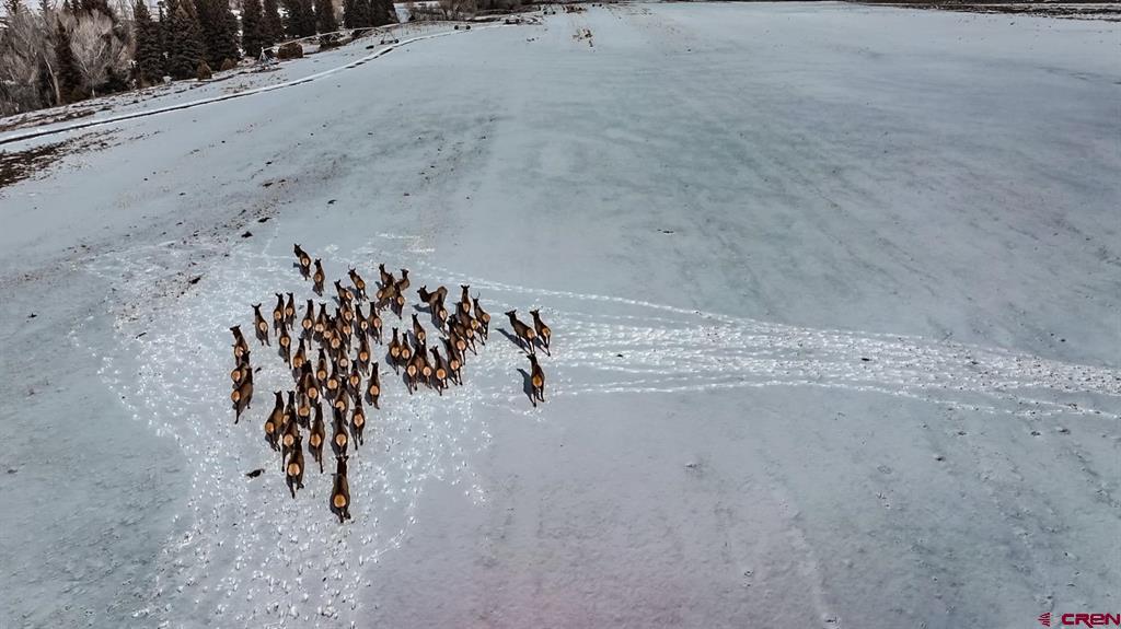 2418 Usfs Road 526 Creede CO 81130