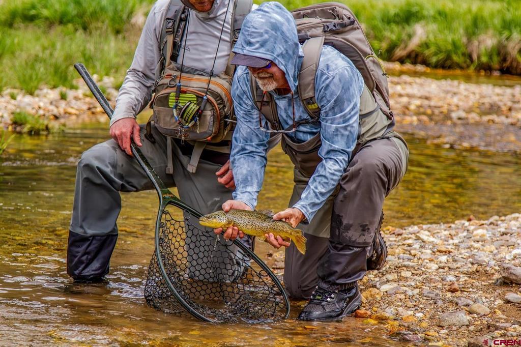 2418 Usfs Road 526 Creede CO 81130