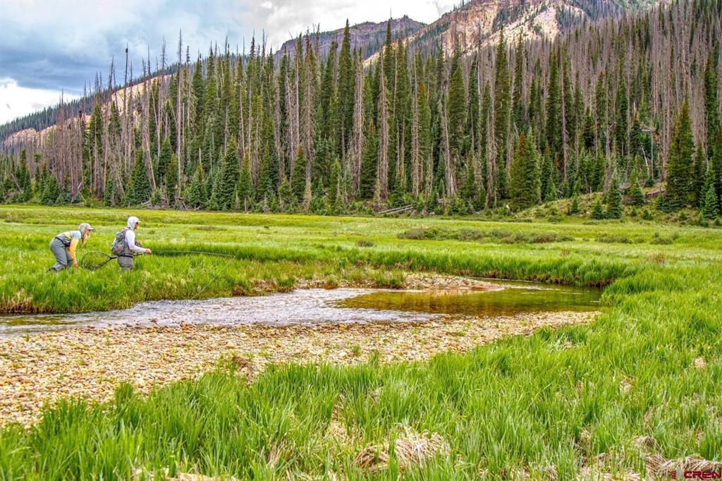 2418 Usfs Road 526 Creede CO 81130