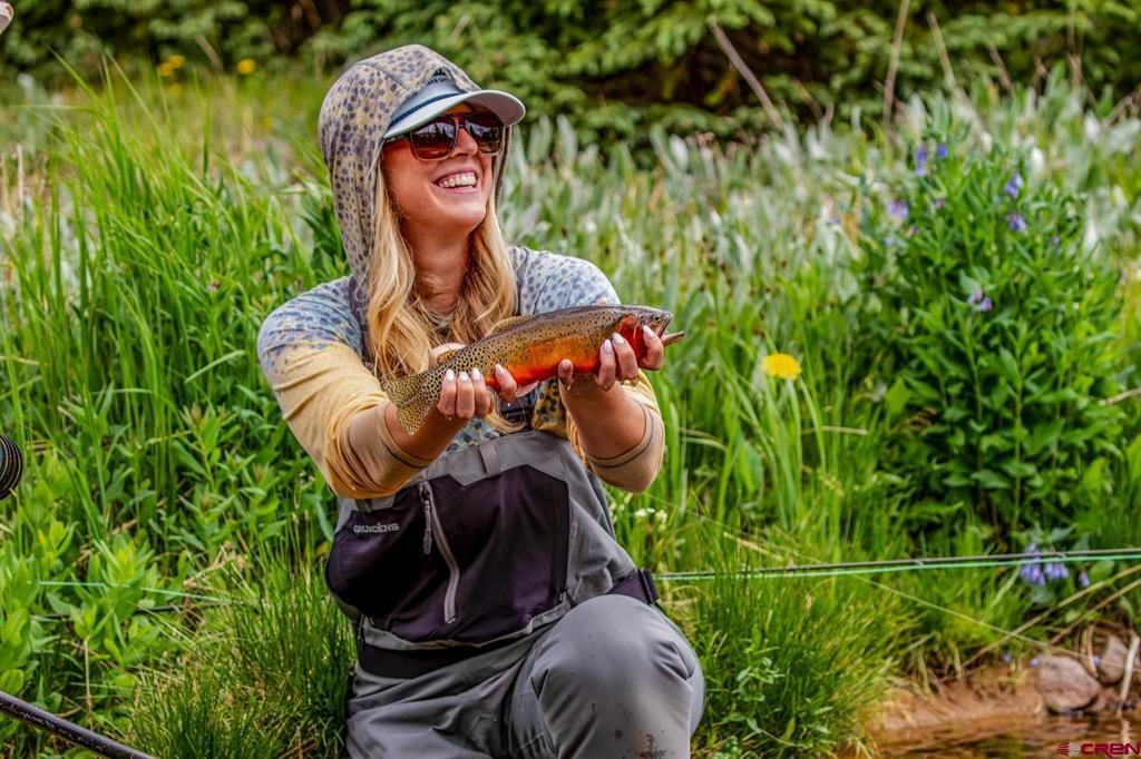 2418 Usfs Road 526 Creede CO 81130