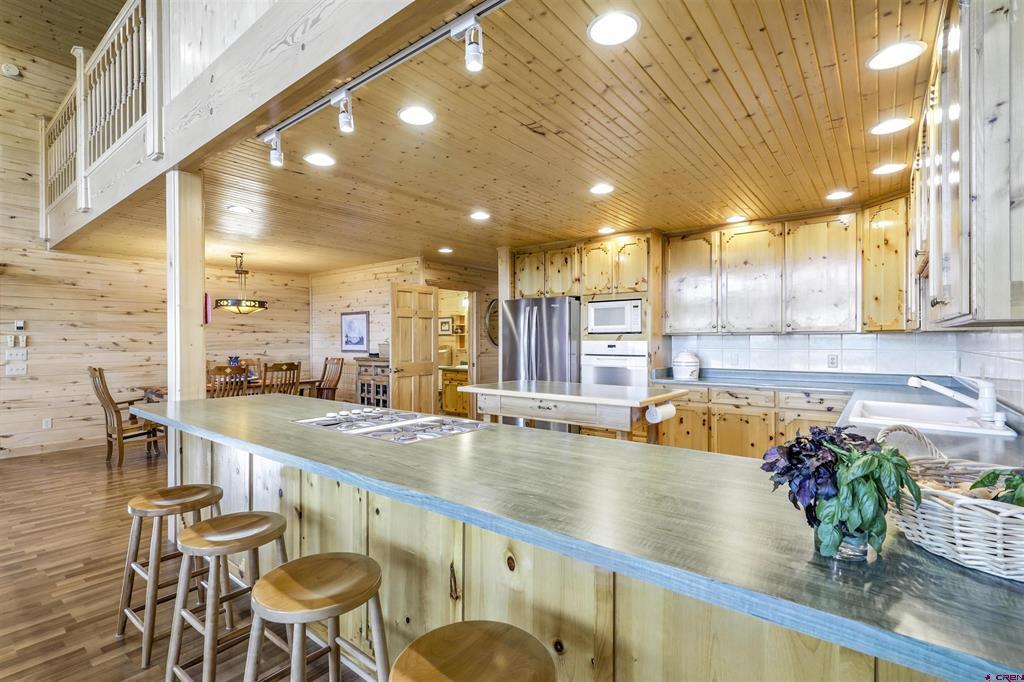1100 Soaring Eagle Court Chromo CO 81128