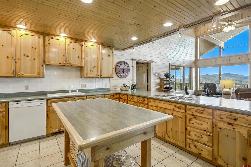 1100 Soaring Eagle Court Chromo CO 81128