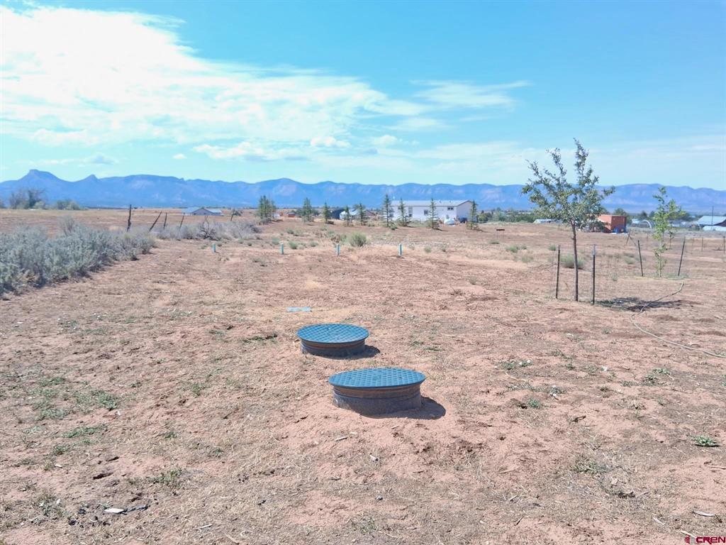 32334 Road P Mancos CO 81328