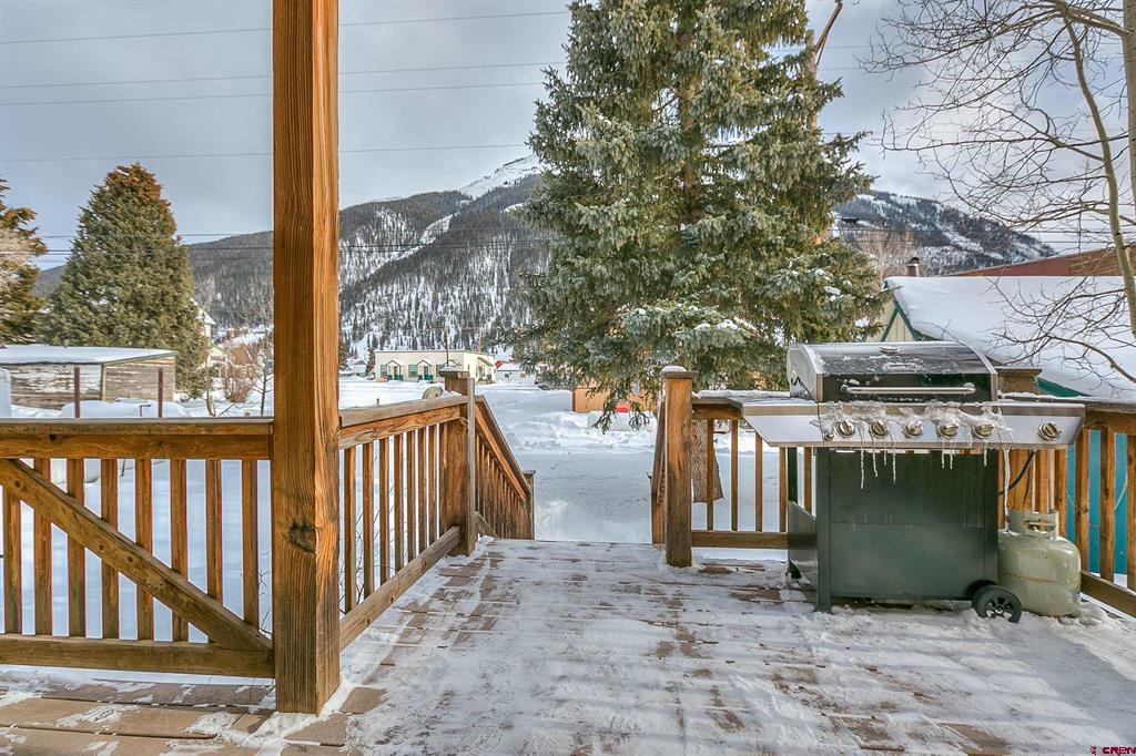 740 Reese Street Silverton CO 81433