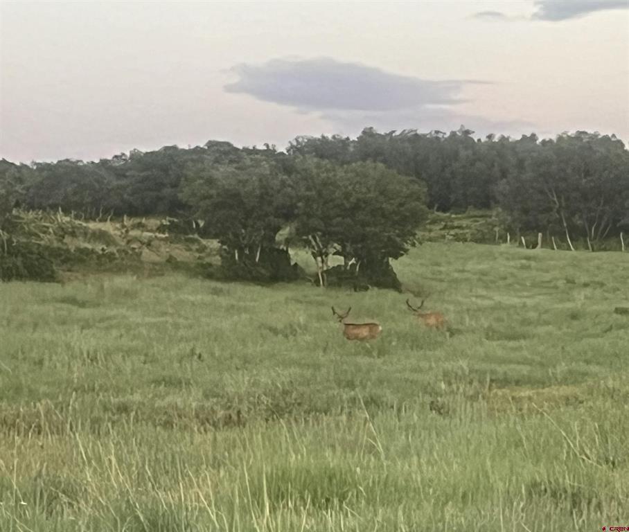 Tbd Hanks Valley Road Montrose CO 81403