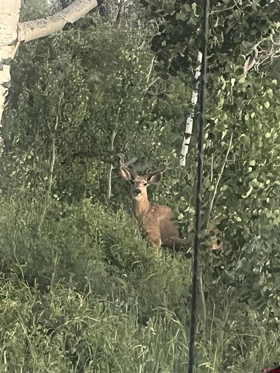 Tbd Hanks Valley Road Montrose CO 81403