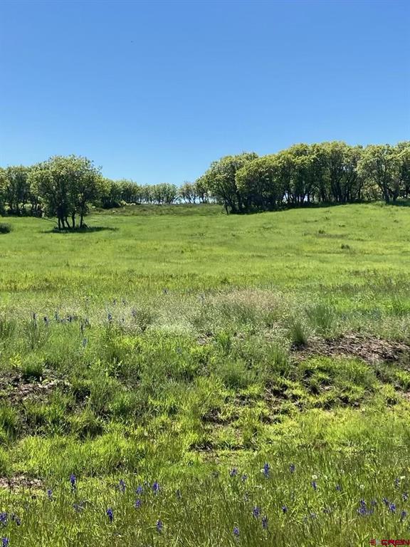 Tbd Hanks Valley Road Montrose CO 81403