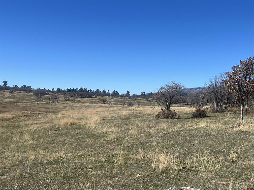 Tbd Hanks Valley Road Montrose CO 81403