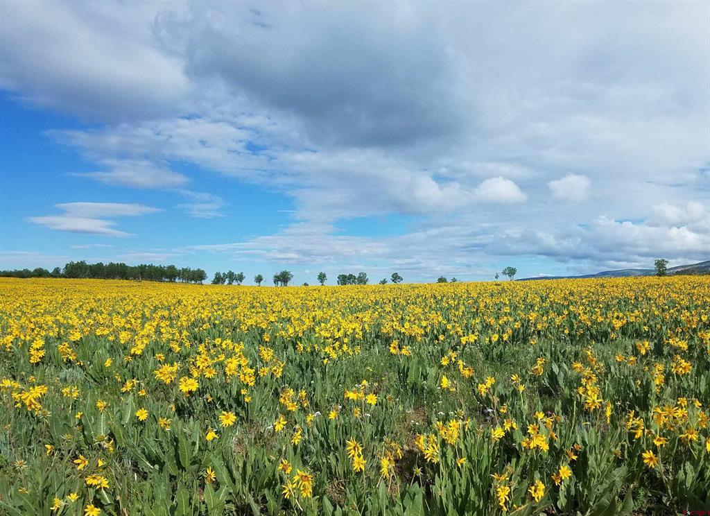 Tbd Hanks Valley Road Montrose CO 81403