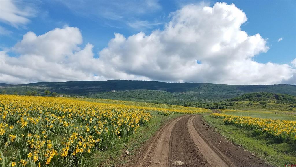 Tbd Hanks Valley Road Montrose CO 81403