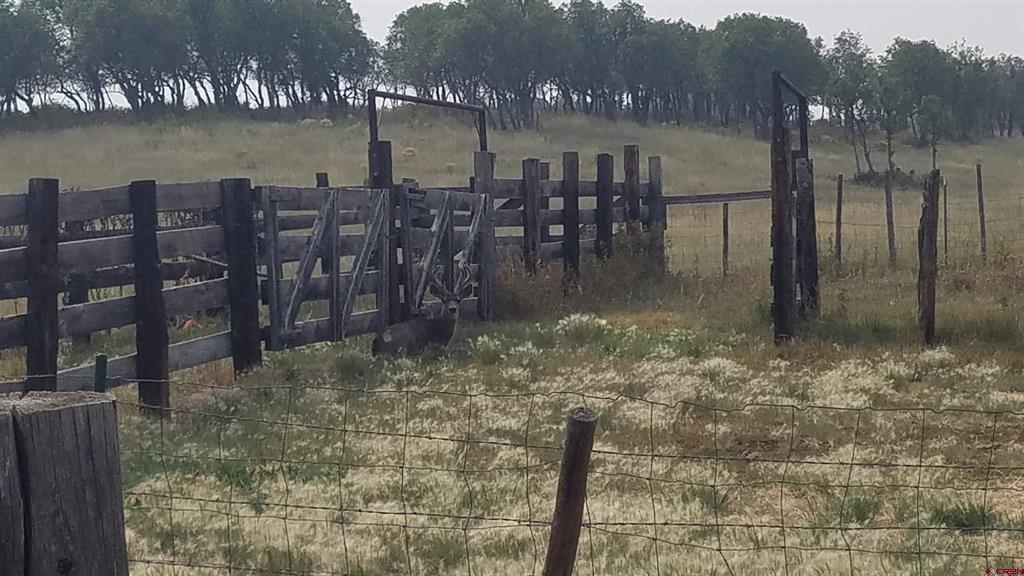 Tbd Hanks Valley Road Montrose CO 81403