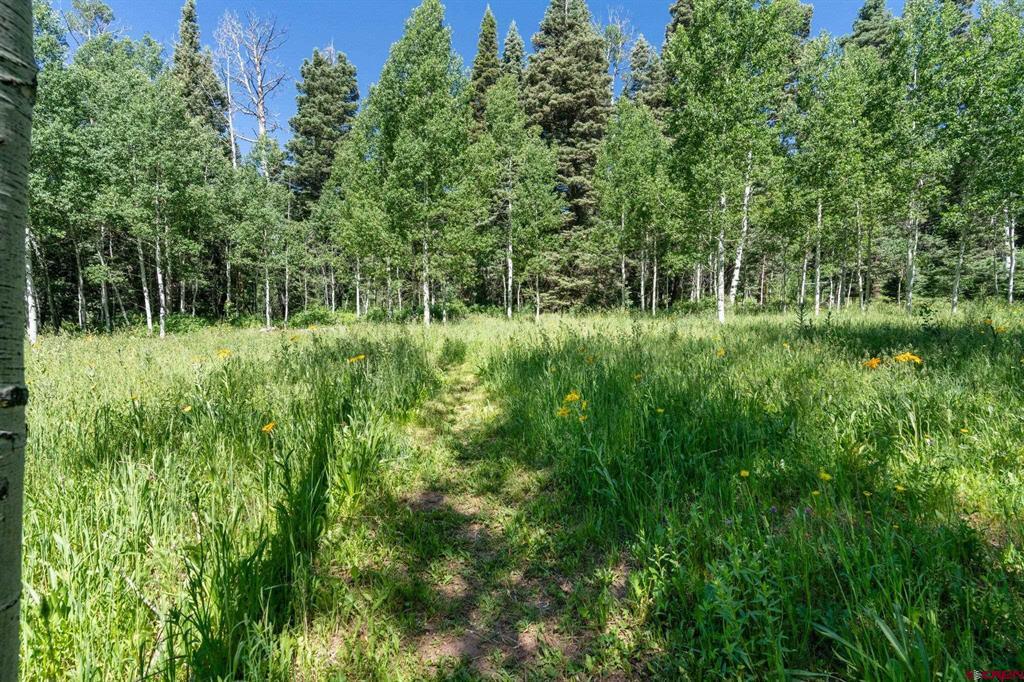 1641 Sierra Verde Drive Durango CO 81301