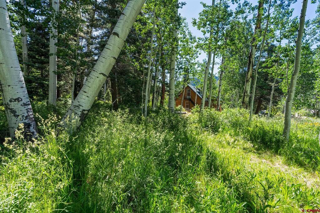 1641 Sierra Verde Drive Durango CO 81301