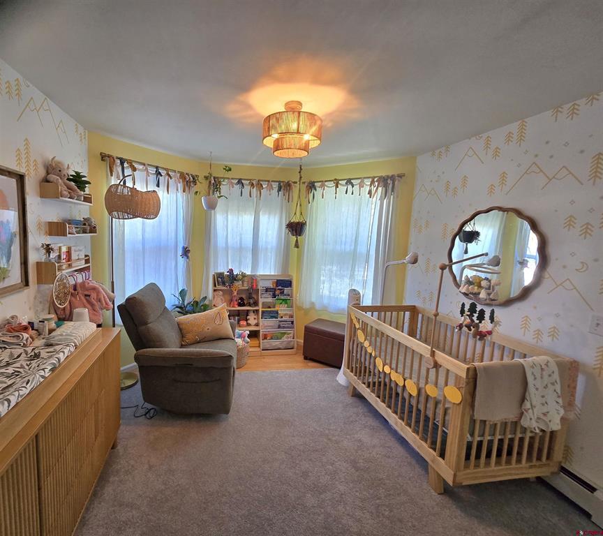 1227 S 2nd Street Montrose CO 81401