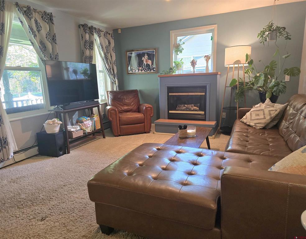 1227 S 2nd Street Montrose CO 81401