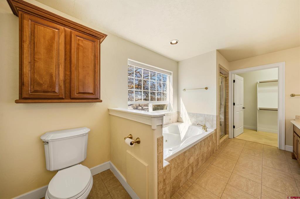 2031 Otter Pond Circle Montrose CO 81401