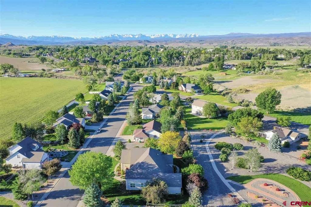 2031 Otter Pond Circle Montrose CO 81401