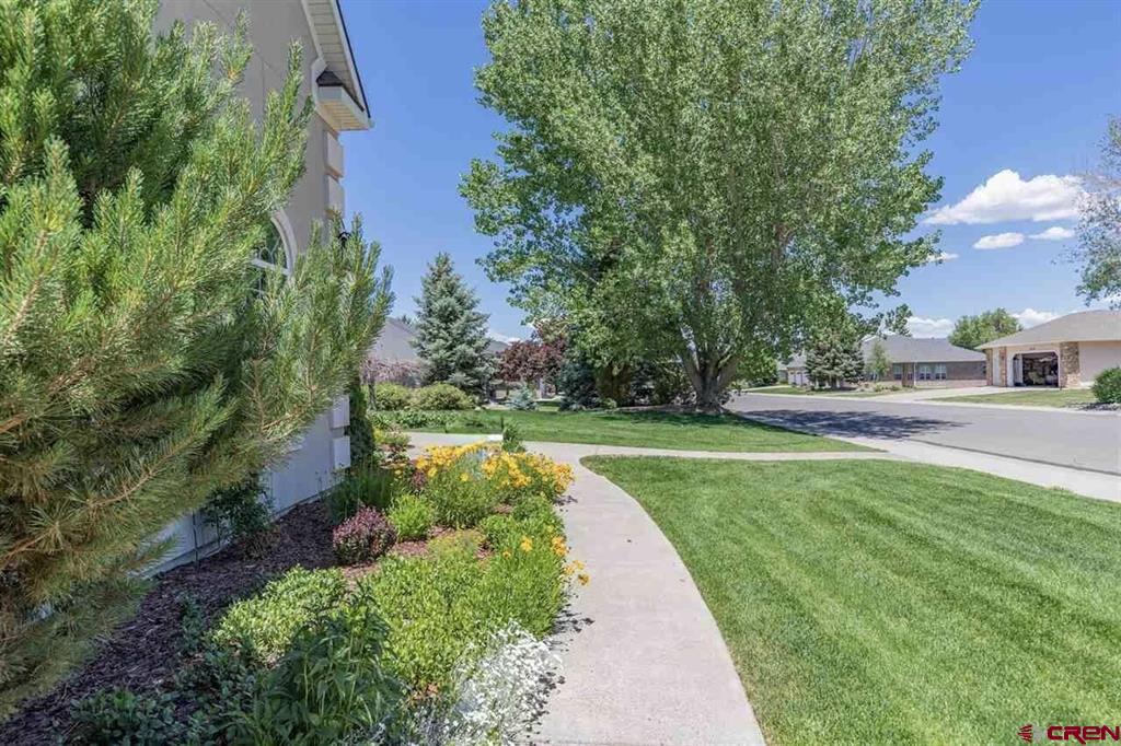 2031 Otter Pond Circle Montrose CO 81401