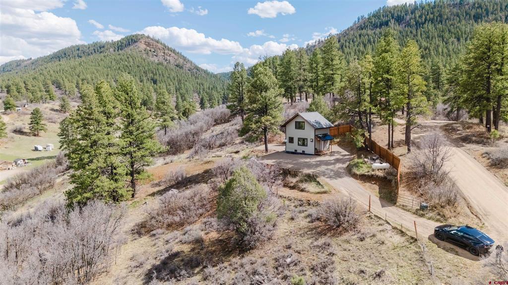 244 Carol's Curves Pagosa Springs CO 81147