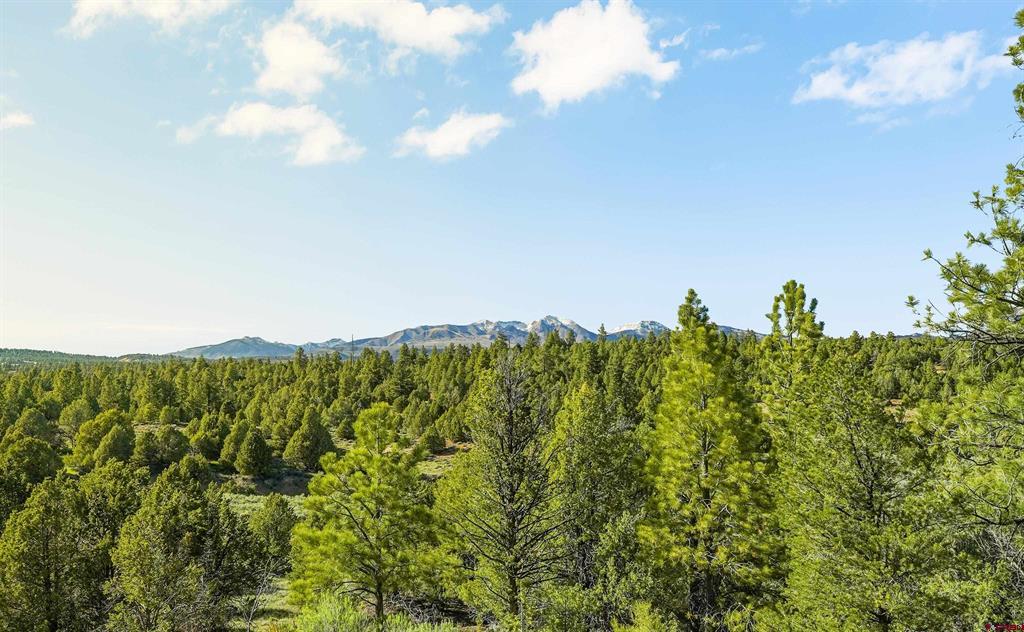 287 Wildcat Trail Durango CO 81301