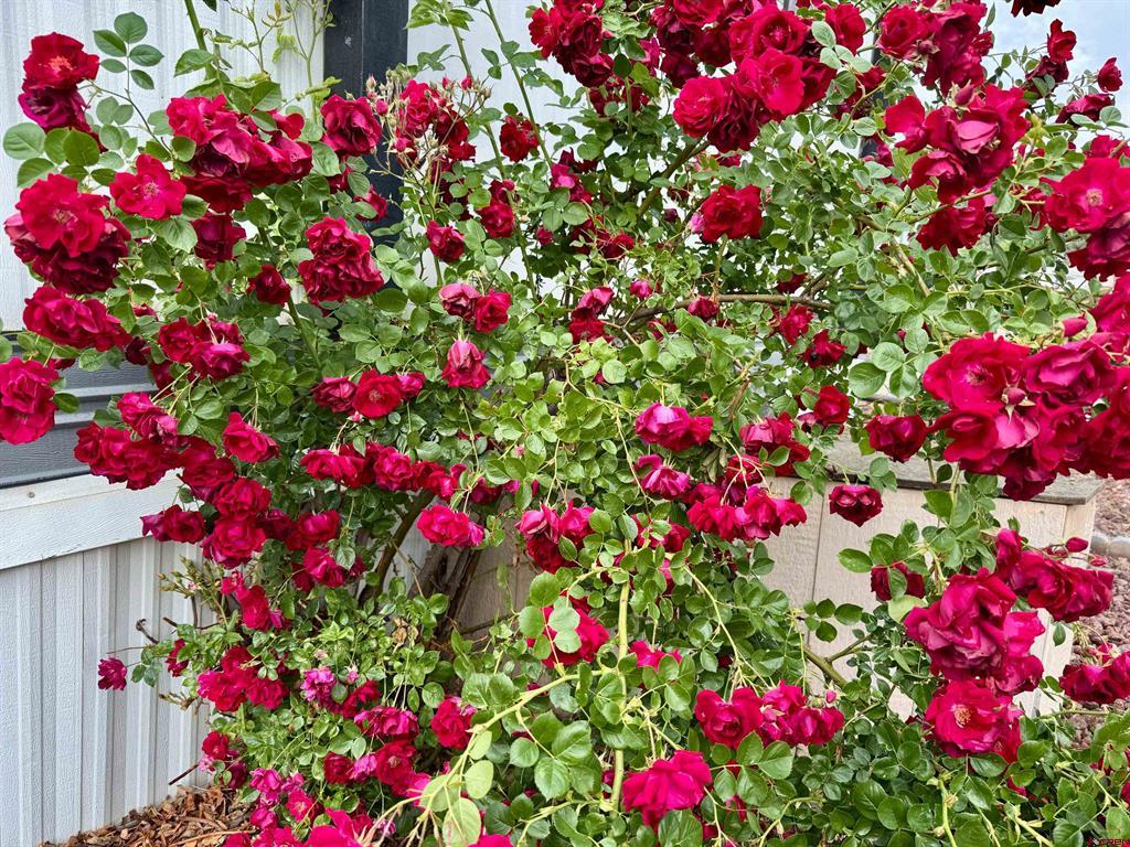 383 S Hillcrest Drive Montrose CO 81401