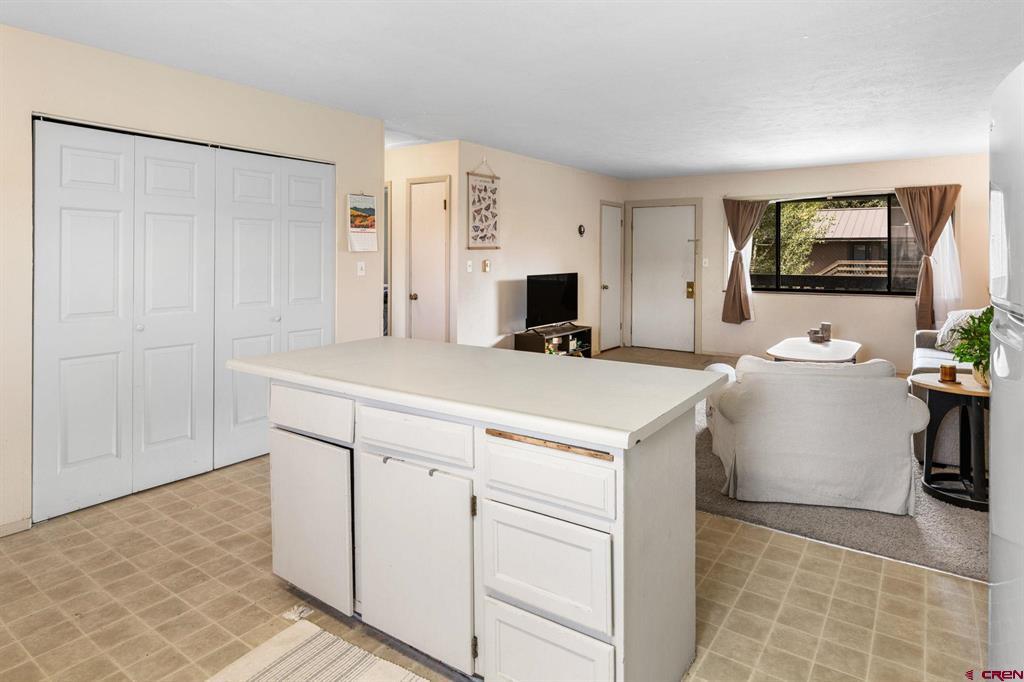 212 S 11th Street Gunnison CO 81230