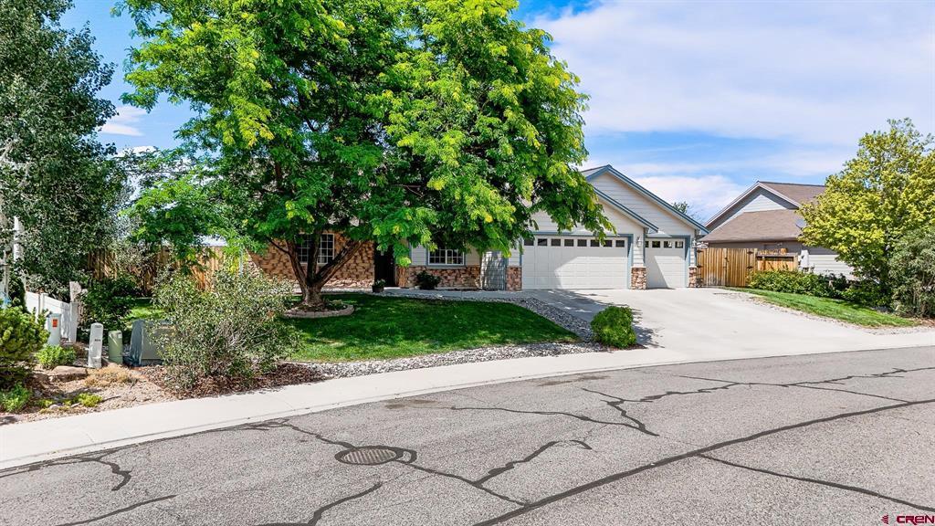 3277 Ravens Crest Drive Montrose CO 81401