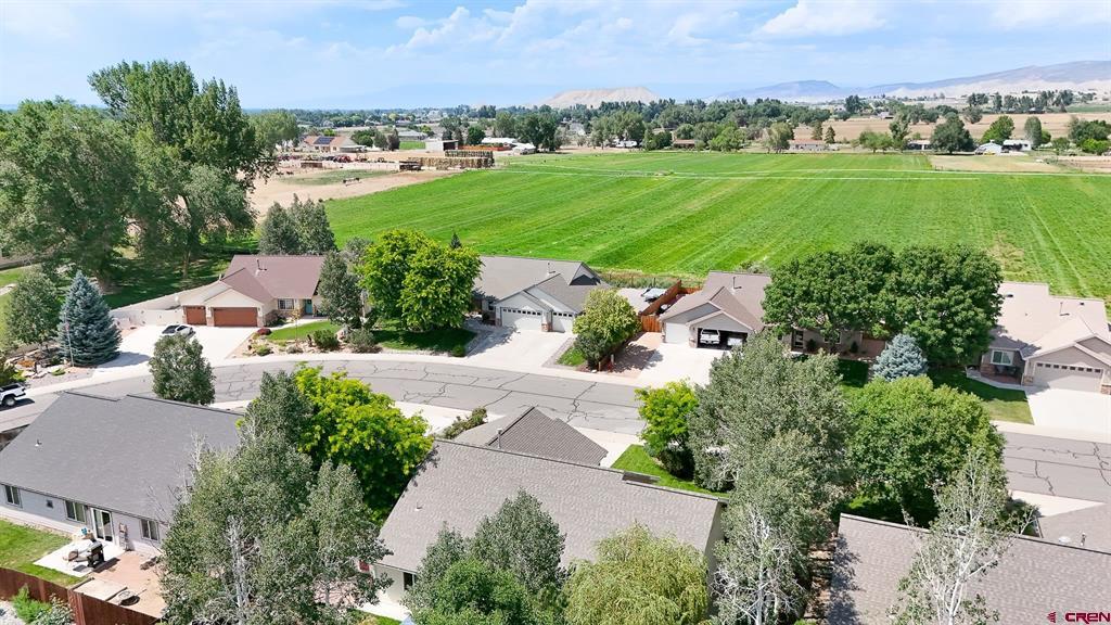 3277 Ravens Crest Drive Montrose CO 81401