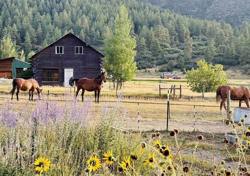 695 Ute Drive Pagosa Springs CO 81147
