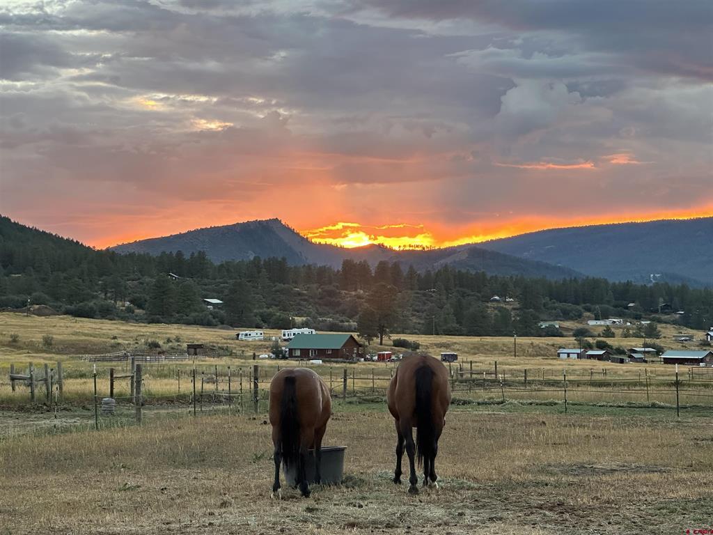 695 Ute Drive Pagosa Springs CO 81147