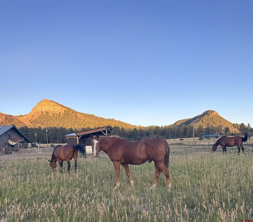 695 Ute Drive Pagosa Springs CO 81147