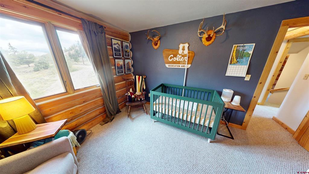 100 Jacobs Lane Lake City CO 81235