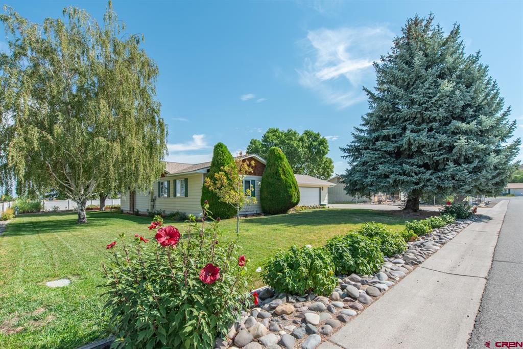 64235 Oakland Road Montrose CO 81403
