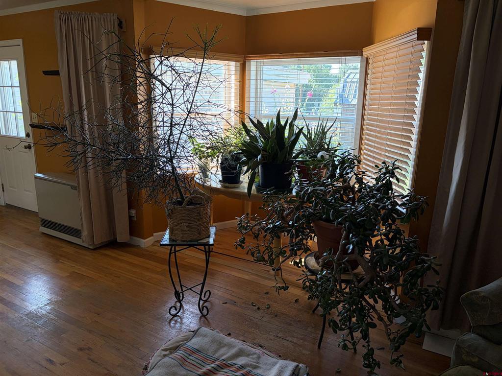 118 3rd Avenue Monte Vista CO 81144