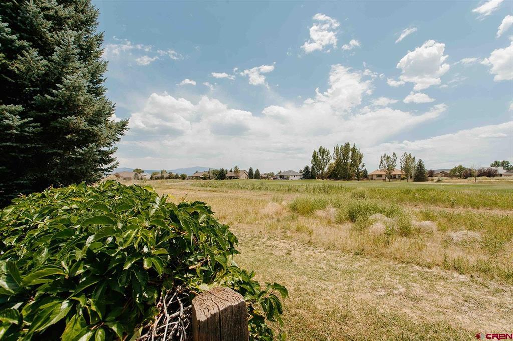 455 Cobble Drive Montrose CO 81403