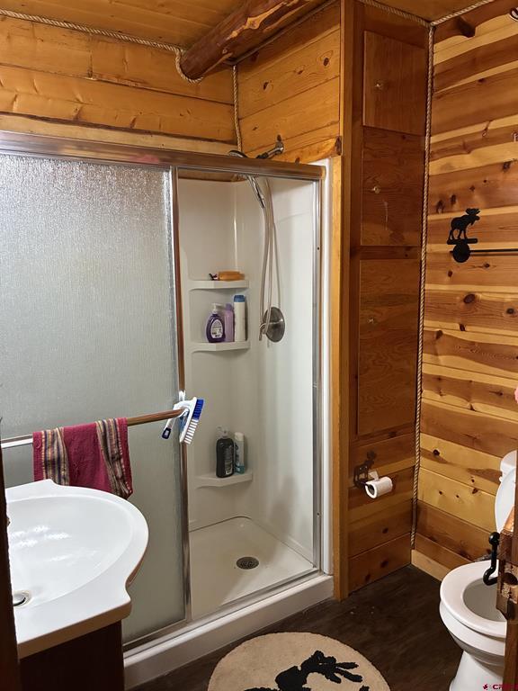 718 Aspen Trail Antonito CO 81120
