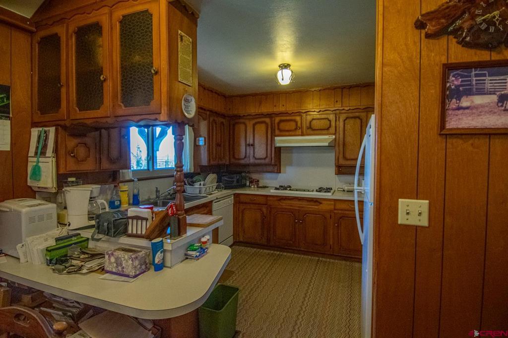 793 County Road 104 Hesperus CO 81326