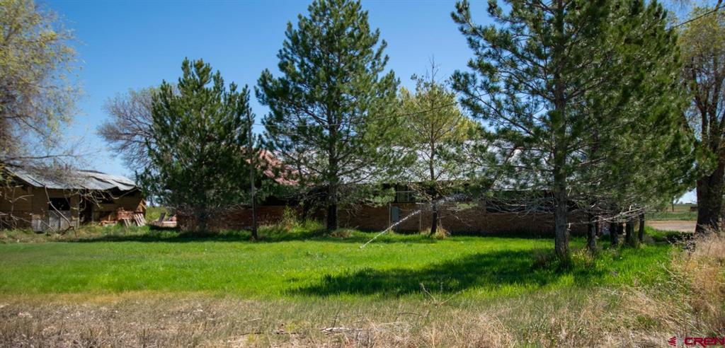 793 County Road 104 Hesperus CO 81326