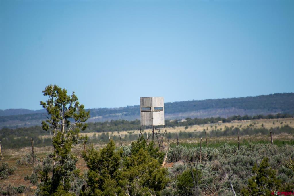 793 County Road 104 Hesperus CO 81326