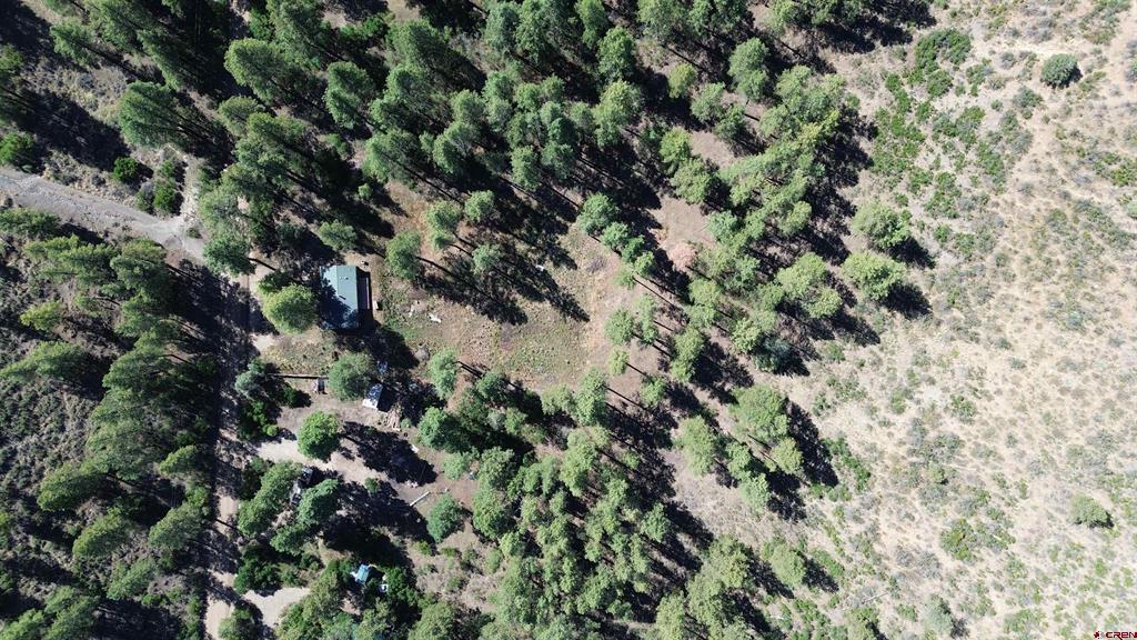 517 Evergreen Drive Pagosa Springs CO 81147
