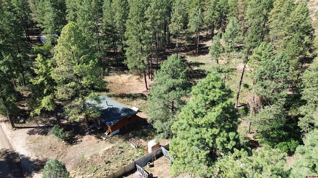 517 Evergreen Drive Pagosa Springs CO 81147