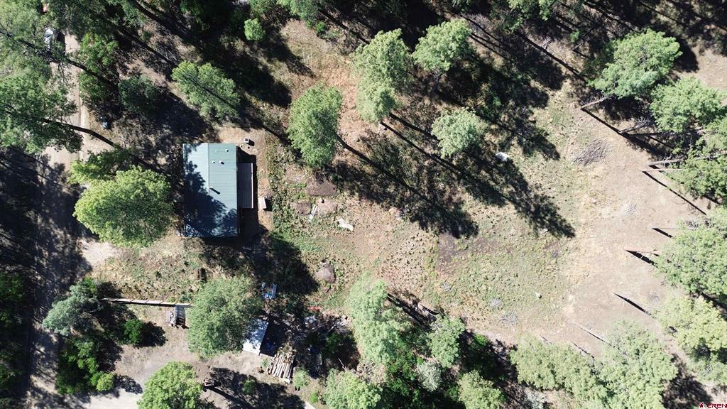 517 Evergreen Drive Pagosa Springs CO 81147