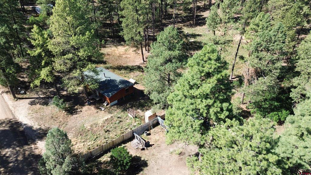 517 Evergreen Drive Pagosa Springs CO 81147