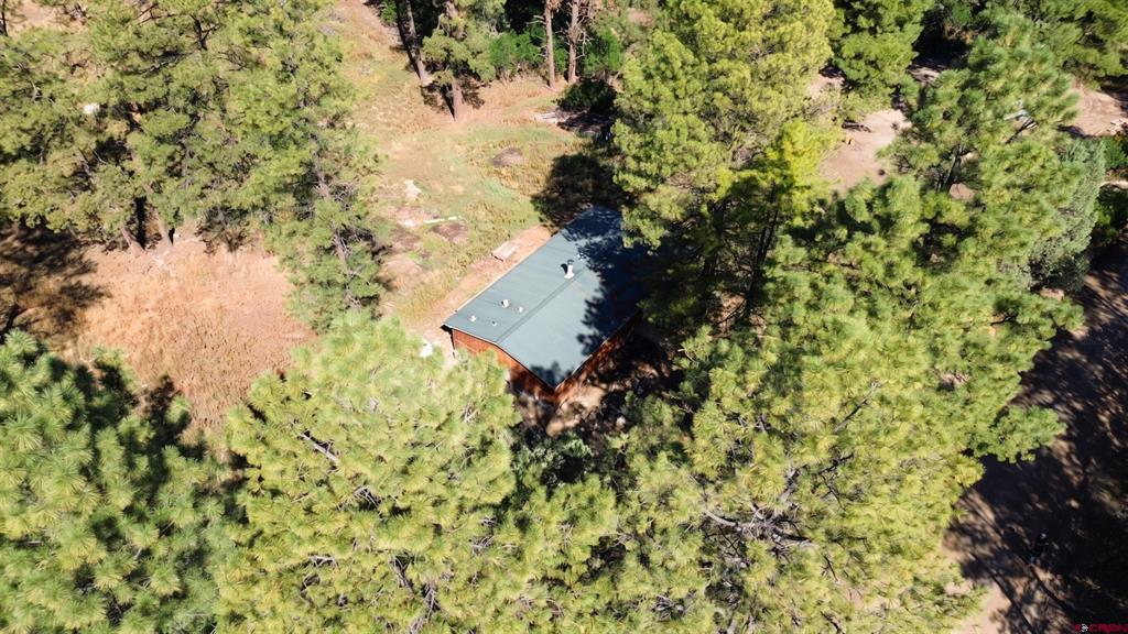 517 Evergreen Drive Pagosa Springs CO 81147