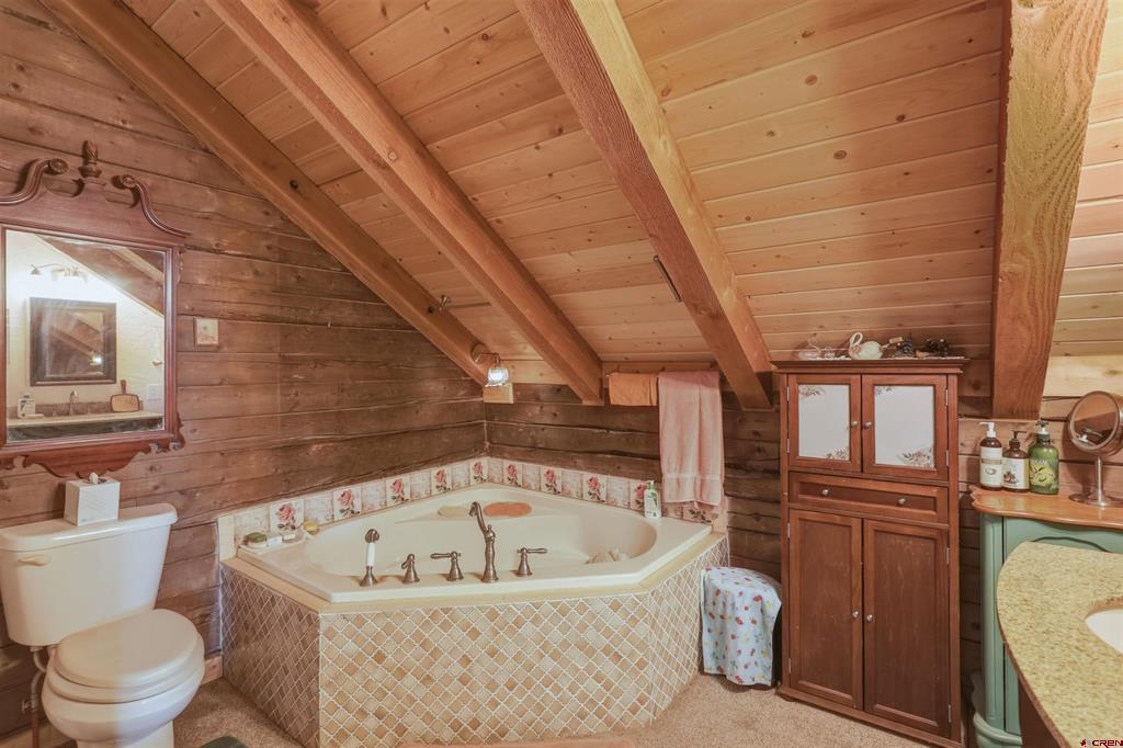 176 Arbor Drive Pagosa Springs CO 81147