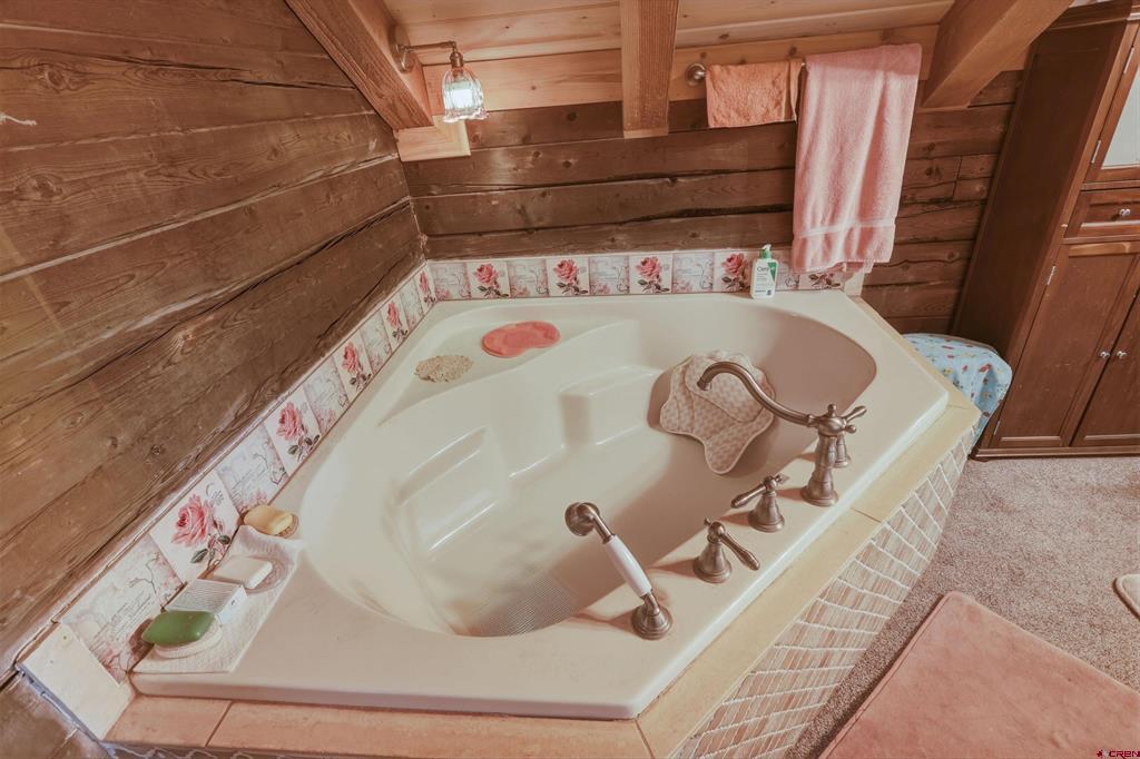 176 Arbor Drive Pagosa Springs CO 81147