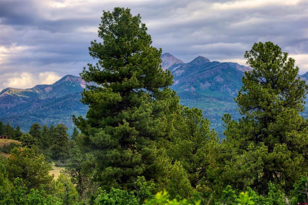 176 Arbor Drive Pagosa Springs CO 81147